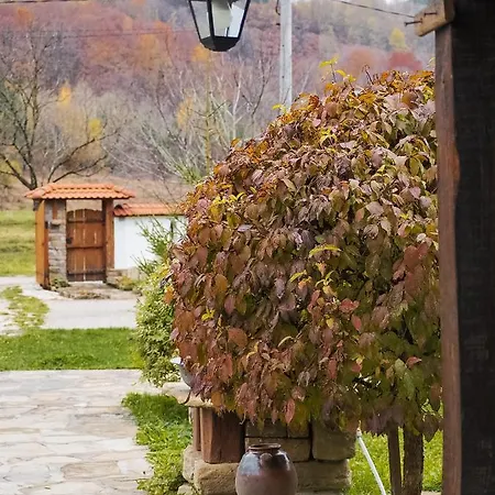 Къща За Гости Младата Баба Feriehus Apriltsi (Lovech)